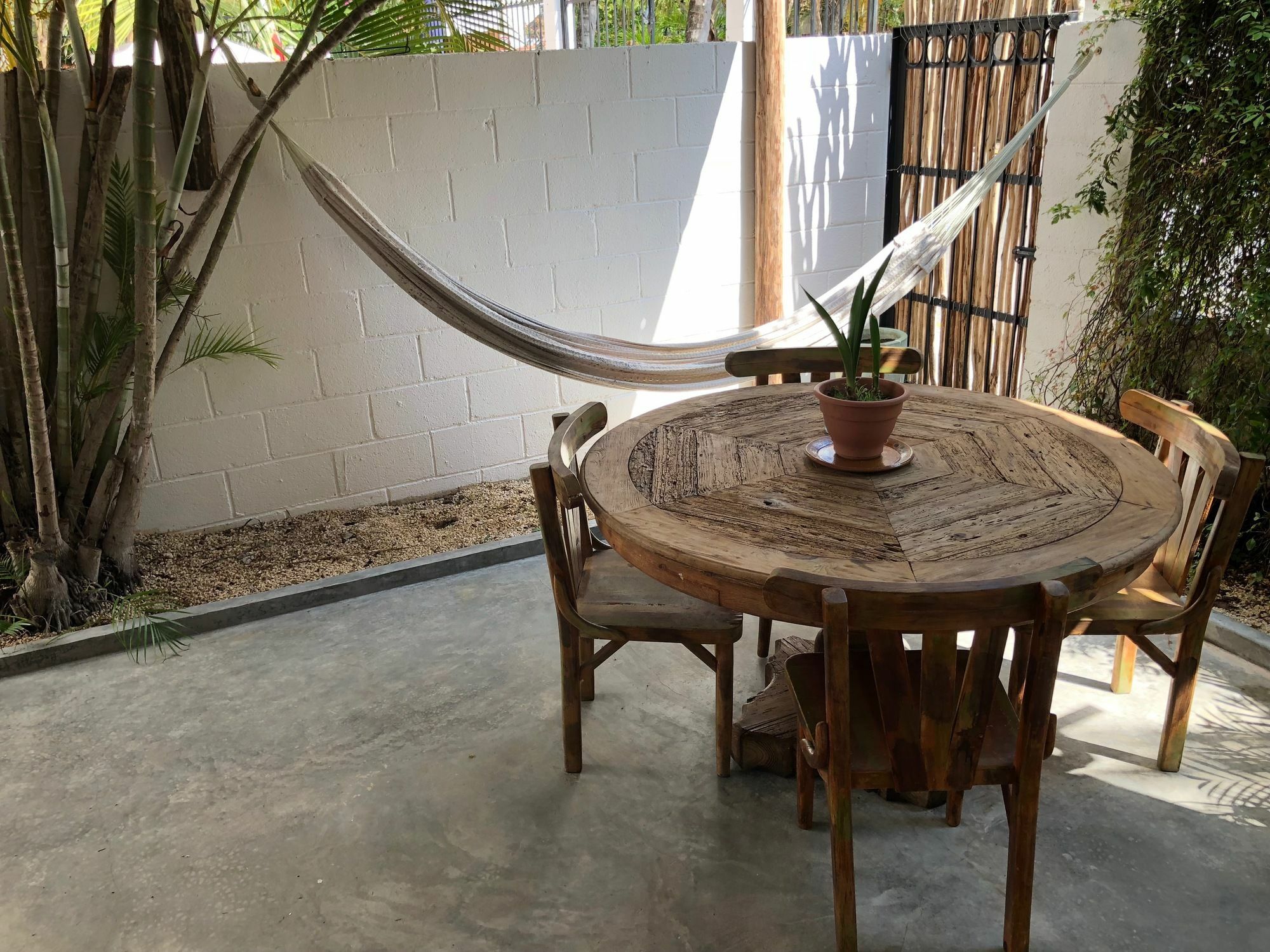Casa La Palma B&B Playa del Carmen Zewnętrze zdjęcie